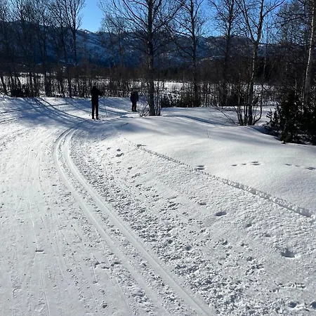 Superior Geilo