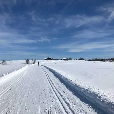 Superior Geilo